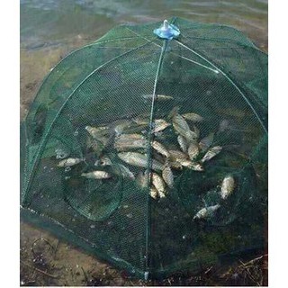 Lưới bát quái 8 cửa