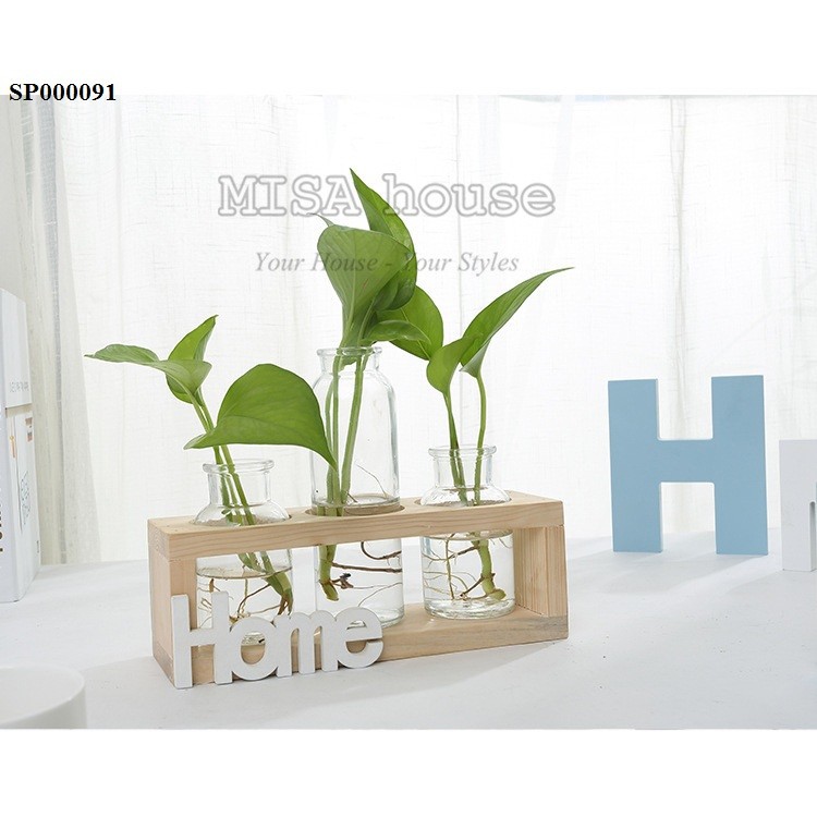 Kệ chữ home kèm bình thủy sinh siêu đẹp