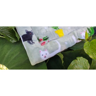 Nệm êm mịn size to cho thú cưng lớn