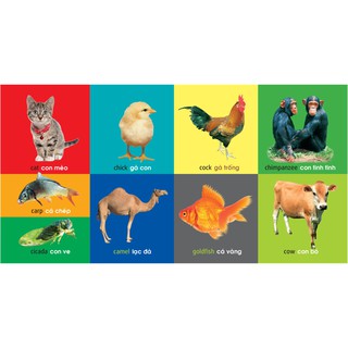 101 First Words - Animals