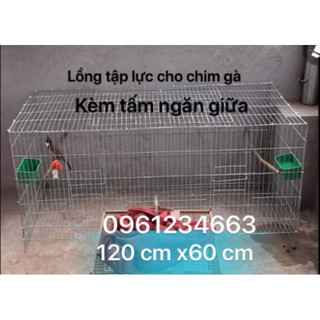 Lồng chim công nghiệp, lồng gà, lồng tập lực, kích thước 120 cm x60cm loại dày