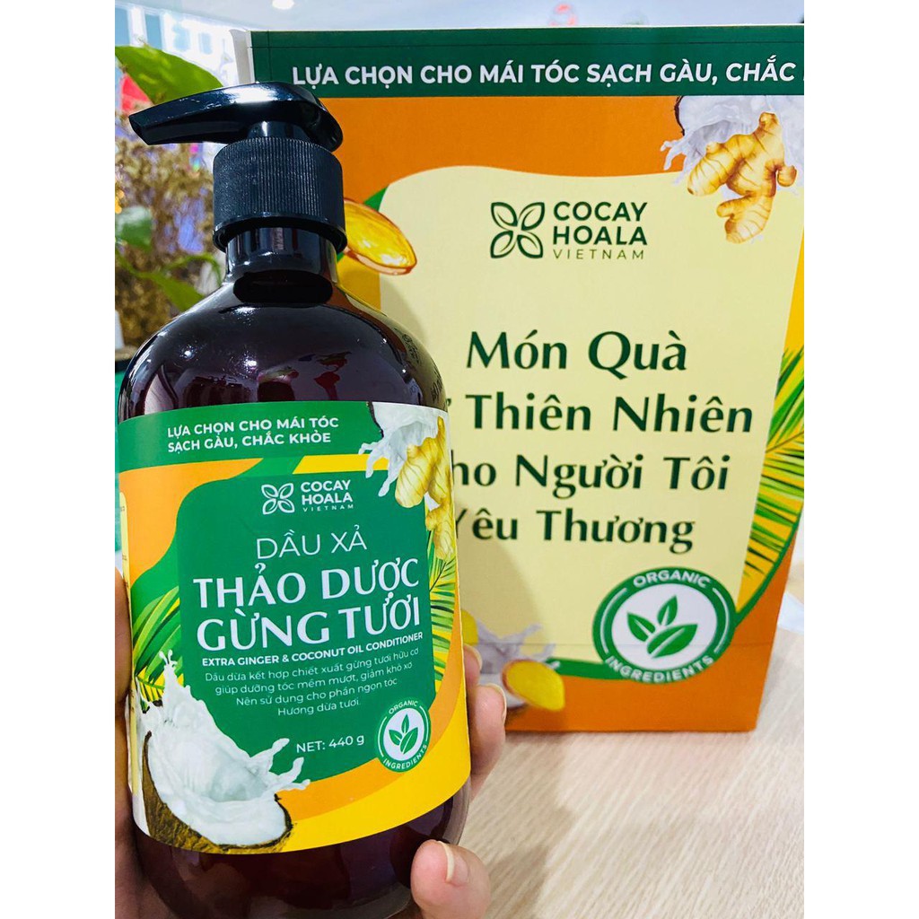 Dầu gội 🍀FREESHIP🍀 Dầu gội thảo dược gừng dừa Cocayhoala đánh bay gàu, giảm ngứa dung tích 440g/chai | BigBuy360 - bigbuy360.vn
