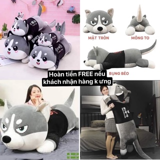 Chó Husky 1m5 - Mèo bông Alaska Siêu to khủng lồ - Gấu bông ôm ngủ quà tặng bạn gái