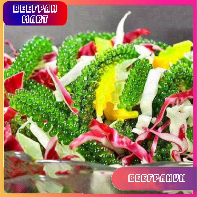 Combo 10 Gói Rong Nho Tách Nước Khánh Hoà 25Gr - Giàu Dinh Dưỡng - Công Nghệ Tách Nước Tiêu Chuẩn Nhật Bản | BigBuy360 - bigbuy360.vn