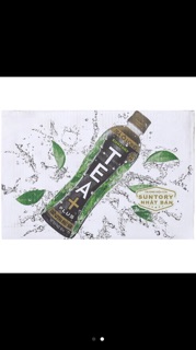 TRÀ Ô LONG TEA+ PLUS (LỚN) 24 CHAI X 455ML (DATE : T5/2019)