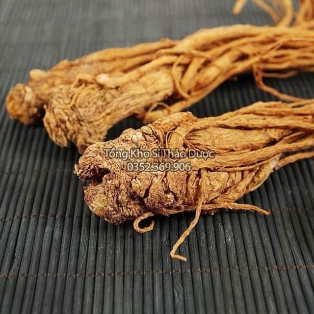 Sâm Đương Quy 100g (Củ Đương Quy)