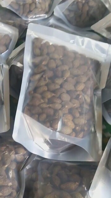 500gram hạt ươi bay to đều đẹp, ươi rừng tự nhiên | BigBuy360 - bigbuy360.vn