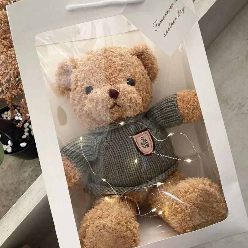 Gấu Teddy nhồi bông thiết kế dễ thương dùng làm quà tặng sinh nhật dành cho bạn gái
