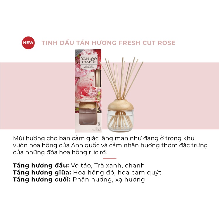 Tinh dầu tán hương Yankee Candle - Fresh Cut Roses (120ml)