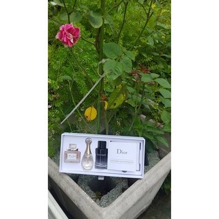 Nuớc hoa mini Dior mini perfume set (3pc)