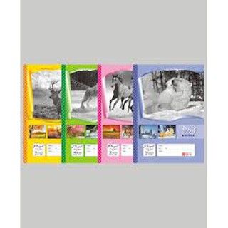 Combo  5 quyển vở Hồng Hà 120 trang