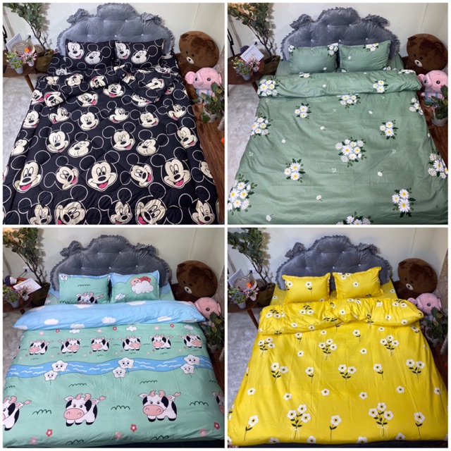 Sét 5 món cotton poly vỏ chăn lồng ruột