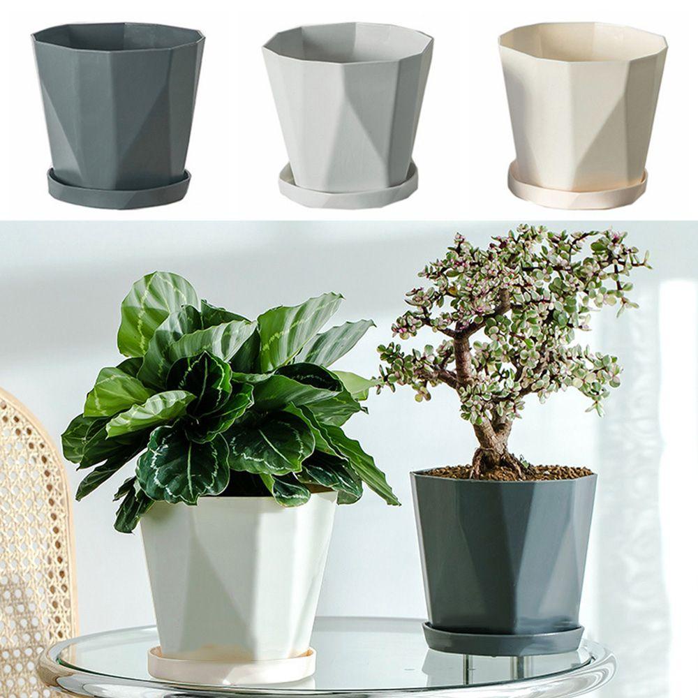 GOGOUP Bộ 3 Khay Trồng Cây Tiện Lợi