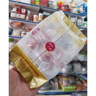 Khay túi số 10 (set 100 cái)