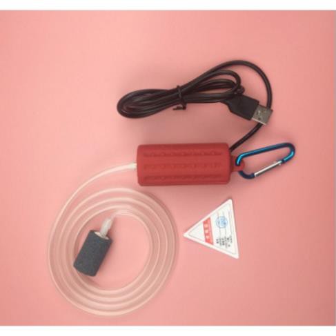 Máy sủi mini siêu êm- Sủi kết nối USB( Loại 1 vòi)