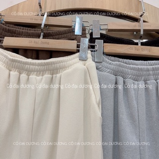 quần jogger gân tăm 1578