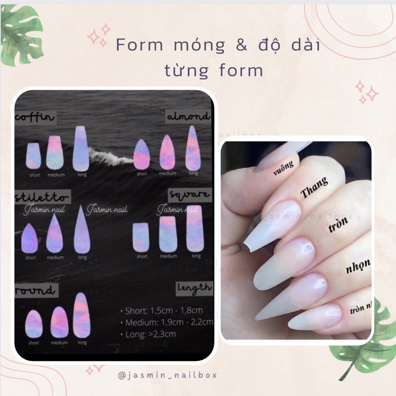 Nailbox móng úp thiết kế trong suốt ẩn bướm phản quang giá rẻ