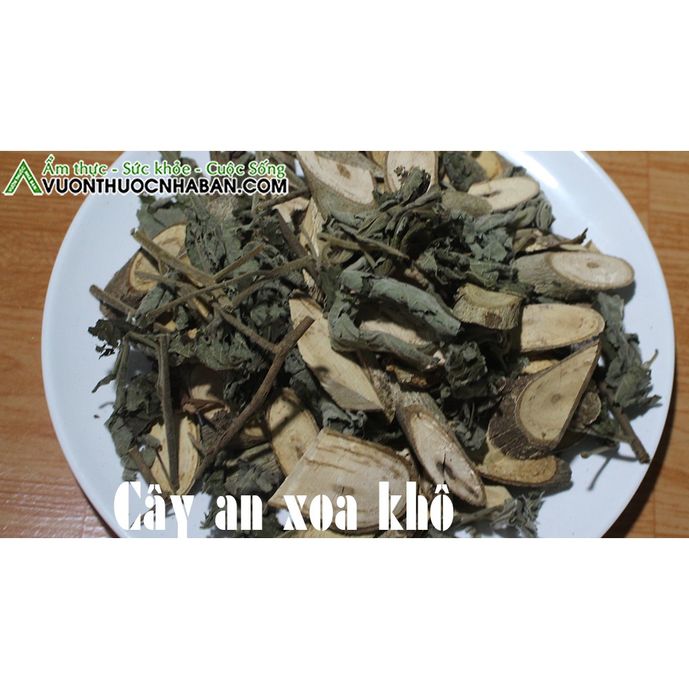 Cây An Xoa 500g Thảo Dược Việt Nam