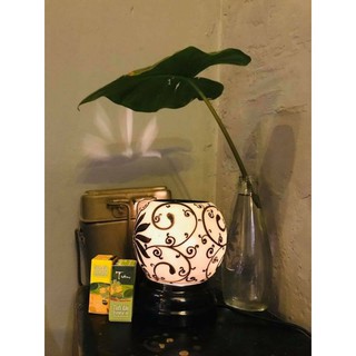 Tinh dầu tràm gió, sả chanh 5ml