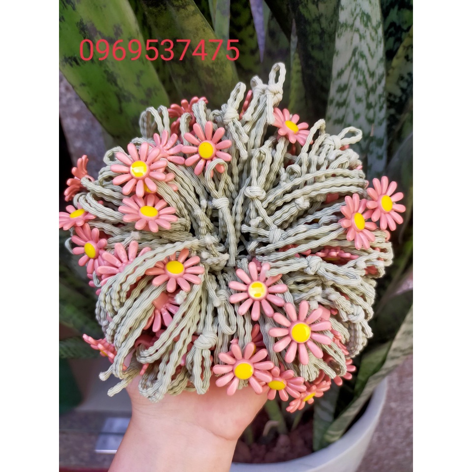 Sỉ 100 Dây Cột Tóc Hoa Cúc Phong Cách Hàn Quốc Siêu Dễ Thương