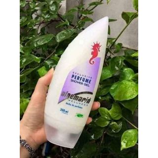 Sửa tắm Cá ngựa