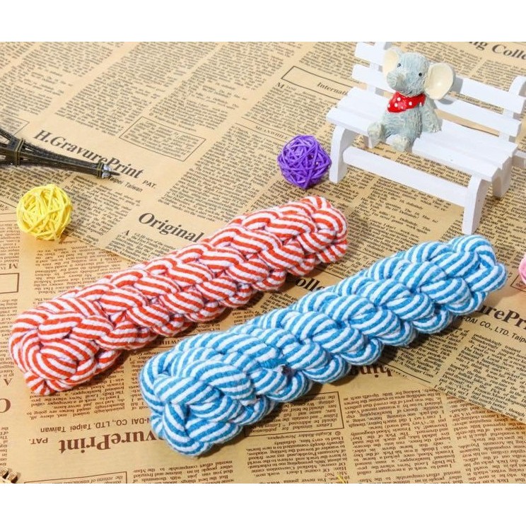 DÂY THỪNG BỆN ĐỒ CHƠI CHO THÚ CƯNG CHÓ MÈO Hình Trụ Dài 20cm - Pet shop Uytinpro