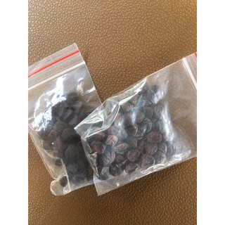 combo 1 Lạng mắc khén + 50 hạt dổi rừng