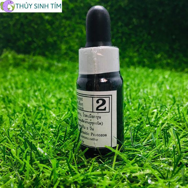 Sản Phẩm Hỗ Trợ Cá Bio Knock Thái