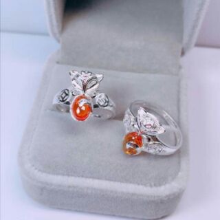 Nhẫn kim tiền hồ ly