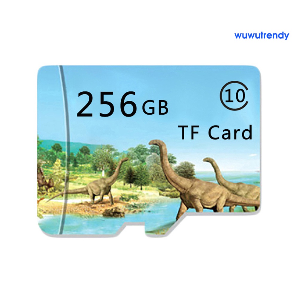 Thẻ Nhớ Micro SD TF 128 / 256 / 512GB Hình Khủng Long Cho Máy Ảnh MP4 | BigBuy360 - bigbuy360.vn