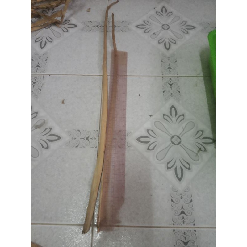 1kg Lục bình khô