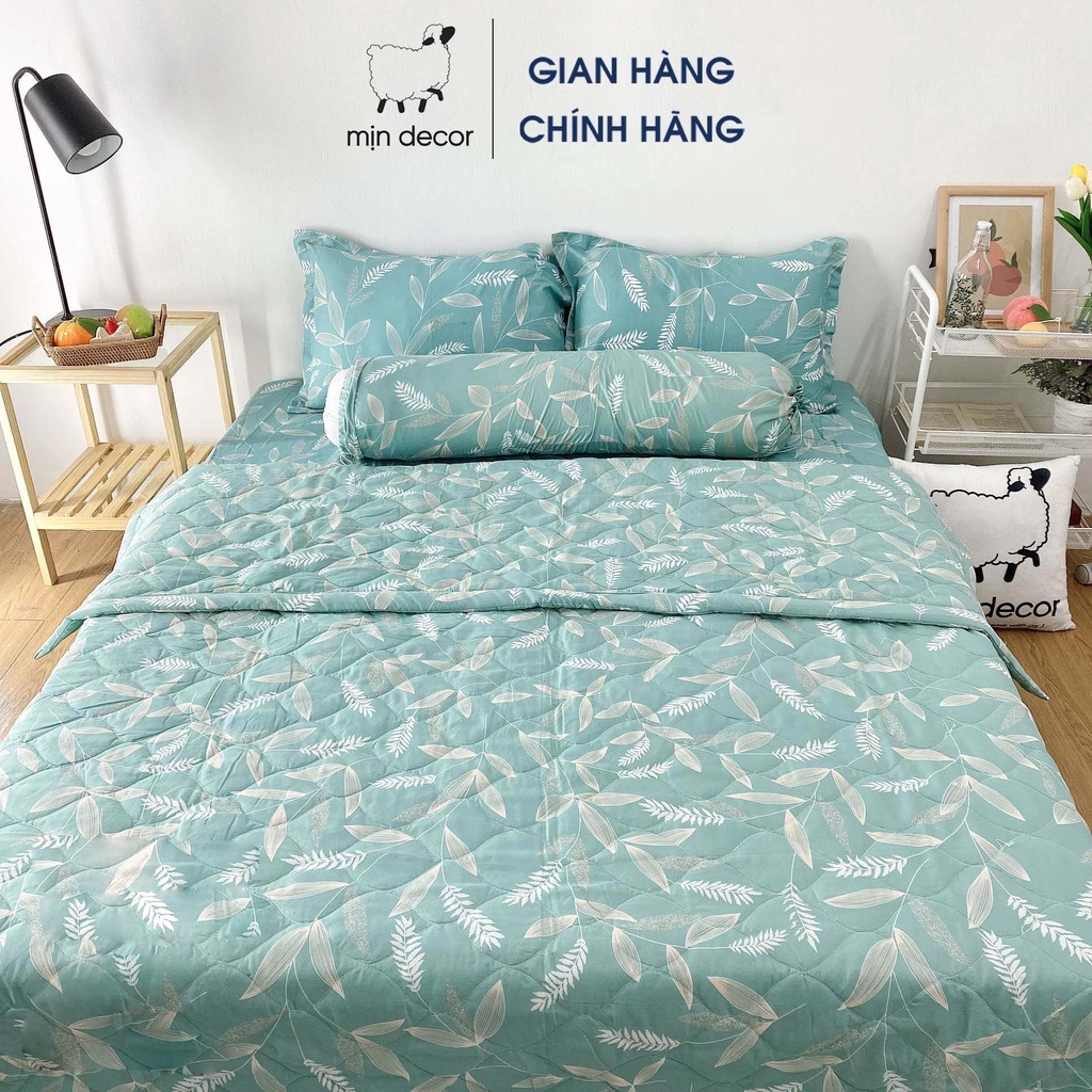 Bộ chăn ga gối cotton 3D MỊN DECOR kèm CHĂN TRẦN hè