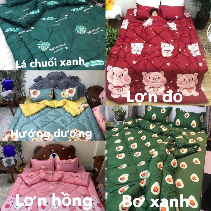 Trọn Bộ Ga Gối Chăn Phao 5 MÓN CHĂN PHAO GA GỐI POLY SIÊU NHẸ POLY ( ĐƯỢC CHỌN MẪU )