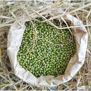 Đậu xanh quê hạt nhỏ 1Kg