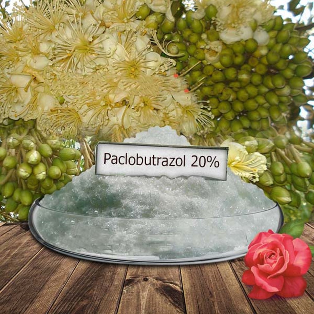 PACLOBUTRAZOL20%  Tạo mầm, Kích Hoa Gói 1Kg