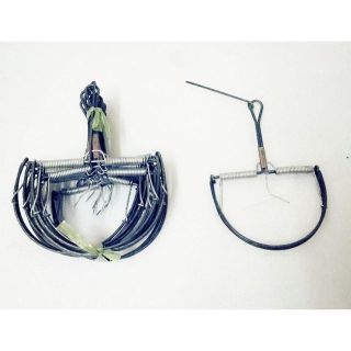 70 bẫy chuột bán nguyệt