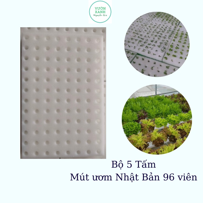 Set 5 Tấm Mút Ươm Hạt Giống Nhật Bản 96 Viên Khoét Lỗ, Cắt Rãnh Chữ Thập, Thoáng Rễ, Giữ Nước Tốt