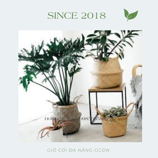 Giỏ cói cắm hoa trang trí