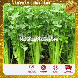 Hạt Giống Cần Tây Chịu Nhiệt(5gr)
