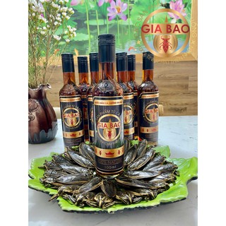 Cà Cuống Nguyên Con x2