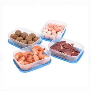 Set Hộp Nhựa Ngăn Đông Dẹt 300ML - Trữ Thực Phẩm Thịt Cá Tôm Rau Củ - Đựng Đồ Ăn Dặm Cho Bé