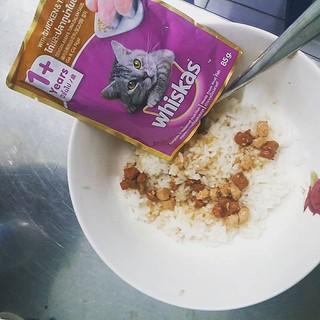 Pate Cho Mèo Whiskas 80g ( COMBO 12 GÓI )