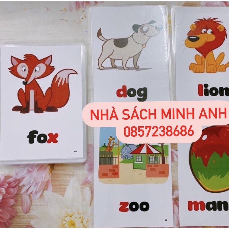 THẺ PHONICS - FAMILY AND FRIENDS STATER