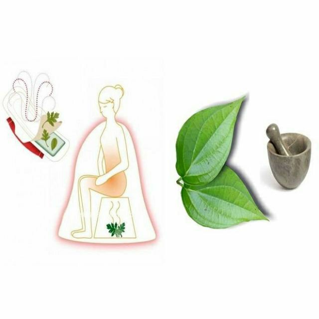 Hộp 50 túi lọc bột lá trầu không nguyên chất | BigBuy360 - bigbuy360.vn