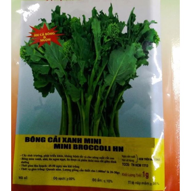 HẠT GIỐNG BÔNG CẢI XANH MINI - GÓI 1 GRAM