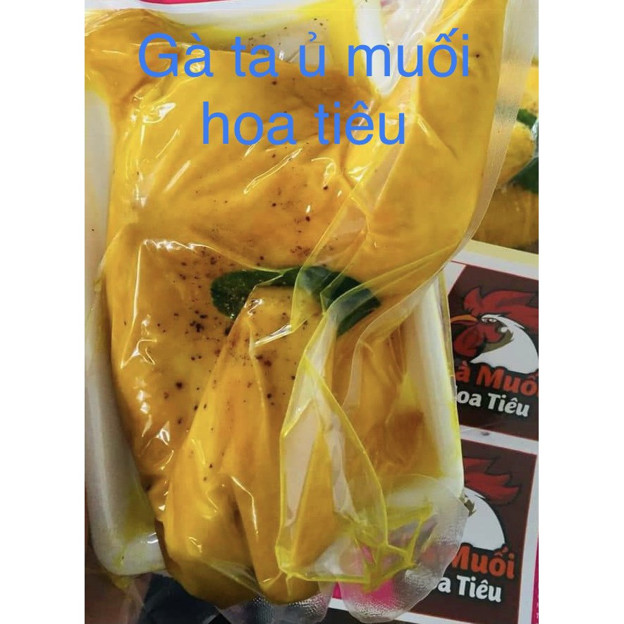 [HỎA TỐC - HCM ] Gà Ta Ủ Muối Hoa Tiêu 450gr Thơm Ngon Hàng Chuẩn | BigBuy360 - bigbuy360.vn