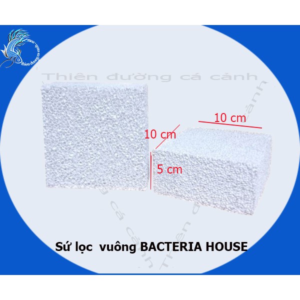 Sứ lọc  vuông BACTERIA HOUSE  lọc nước hồ cá kích thước 10x10x5cm