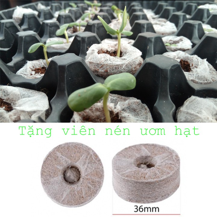 5 Khay Ươm Hạt Dẻo Bền [Tặng Viên Nén Ươm Hạt]