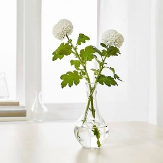 Lọ hoa VILJESTARK IKEA