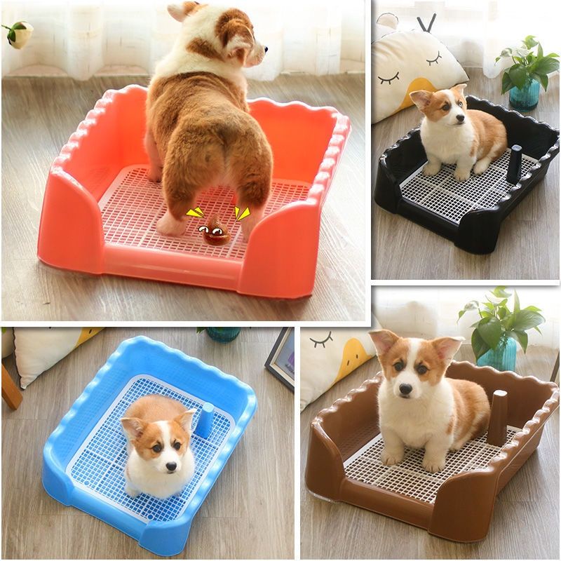 RẺ VÔ ĐỊCH - Khay Vệ Sinh Thành Cao Cho Chó - Khay vệ sinh cho chó Giá rẻ